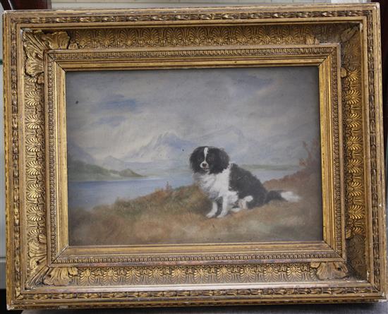 E. Bacon (19th C.) Yeddo, portrait of a Spaniel in a landscape, 7 x 10in.